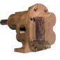 Oberdorfer Bronze Gear Pump