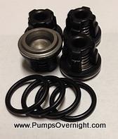 Hypro 9910-1917  D30 Valve Kit