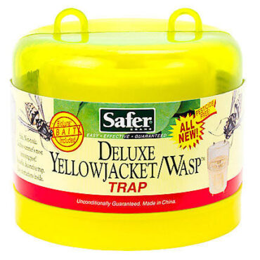 yellow jacket and wasp trap