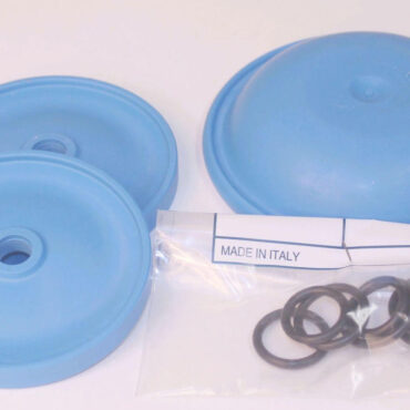 AR 43283 Diaphragm Kit for D252 Pump