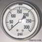 Pressure Gauge 300 PSI - Liquid Filled, Back Mount